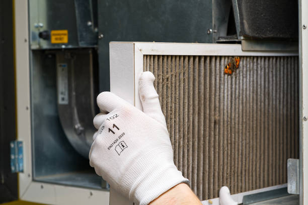 Best Local Air Duct Cleaning Services  in Pleasant View, UT