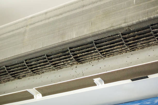 Best Air Duct Cleaning Company Near Me  in Pleasant View, UT