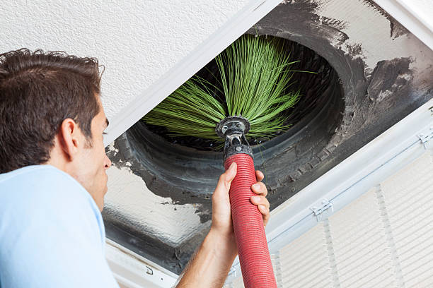 Best Affordable Air Duct Cleaning  in Pleasant View, UT