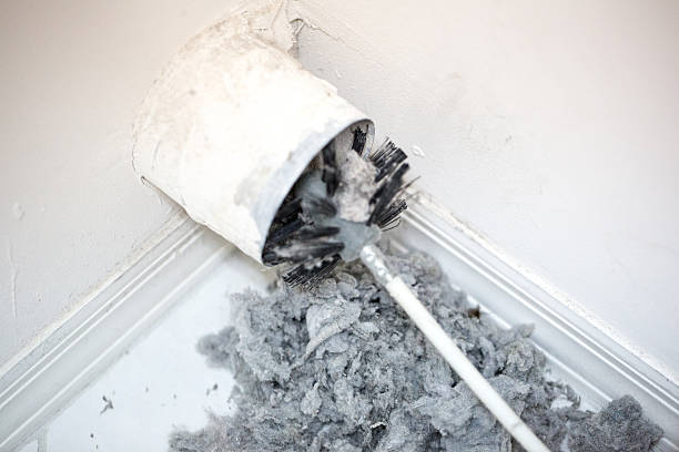 Best Professional Duct Cleaning Services  in Pleasant View, UT